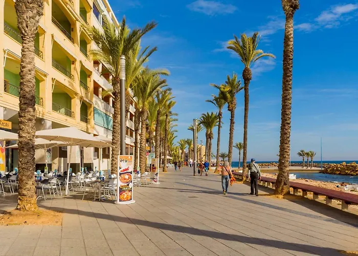 Alegria Id18 Torrevieja